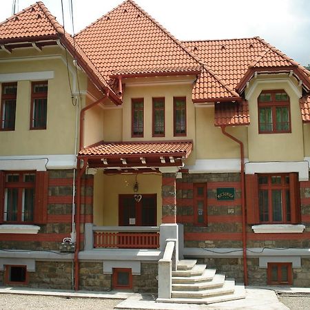 Pensiunea Micsunica Синая Екстериор снимка