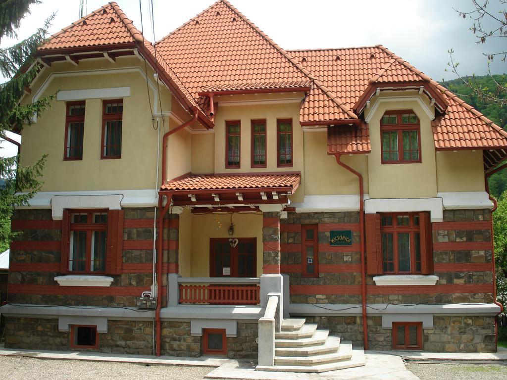 Pensiunea Micsunica Синая Екстериор снимка